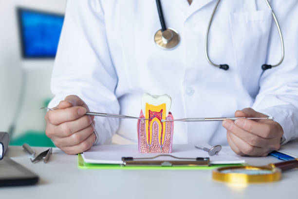 Best Emergency Wisdom Teeth Removal in Baraga, MI
